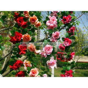 Großhandel-Plaza Dekoration bunte Rose Blume Zuckerrohr künstlichen Plastikblumen Rebe LFV090